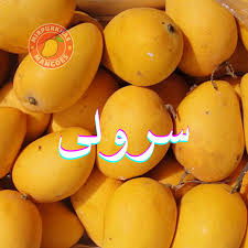 Saroli Mango Export Quality (Fast n Free TCS Delivery)