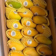 Multan’s Finest White Chaunsa Mangoes -The King of Aroma & Sweetness