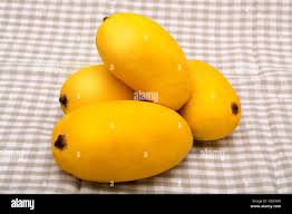 Multan’s Finest White Chaunsa Mangoes -The King of Aroma & Sweetness