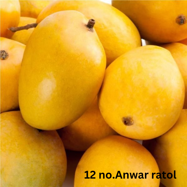 Anwar Ratol Gift Box (Free TCS Delivery)