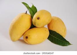 Multan’s Finest White Chaunsa Mangoes -The King of Aroma & Sweetness