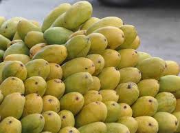 Multan Dusehri Export Grade 10kg Box